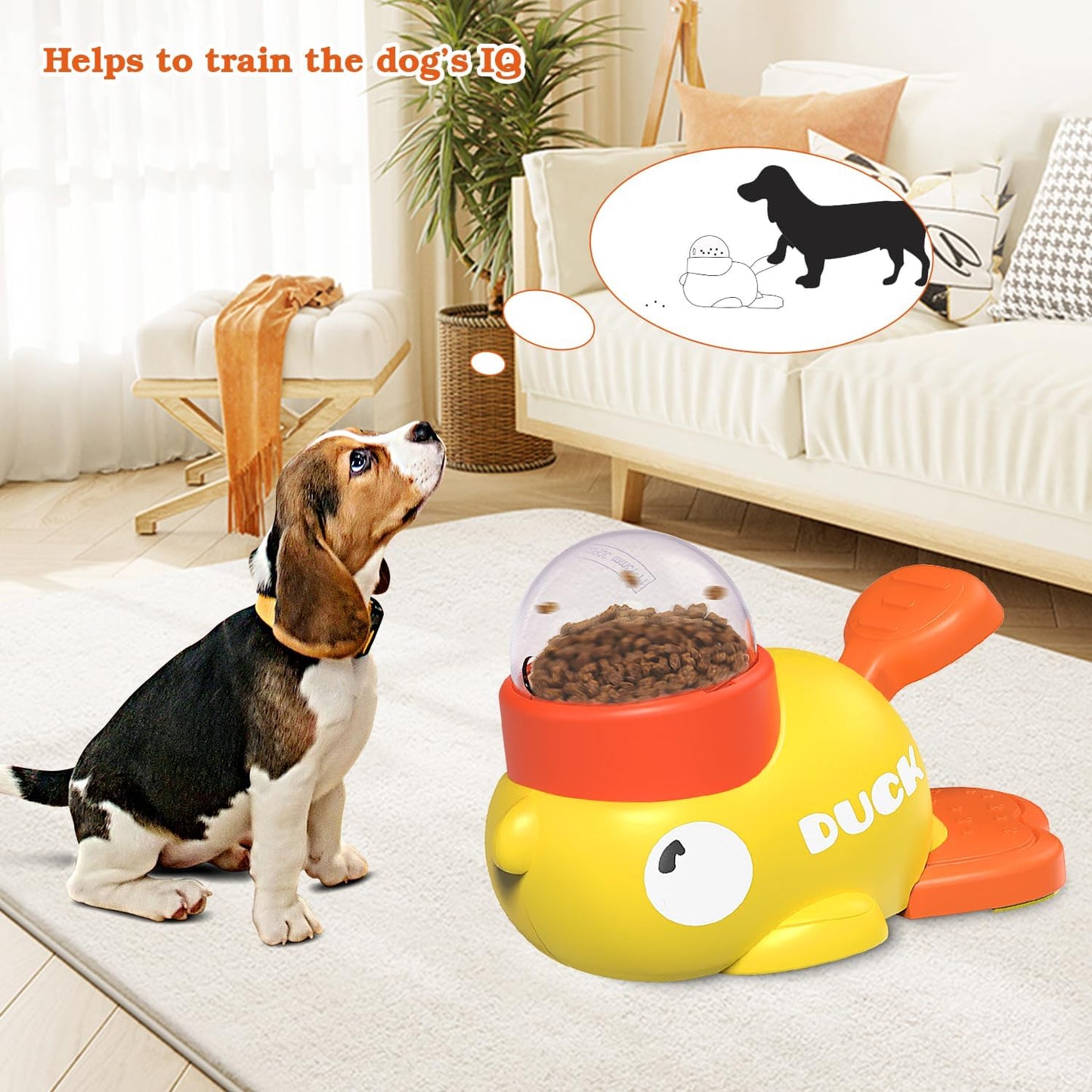 Pet food distributor