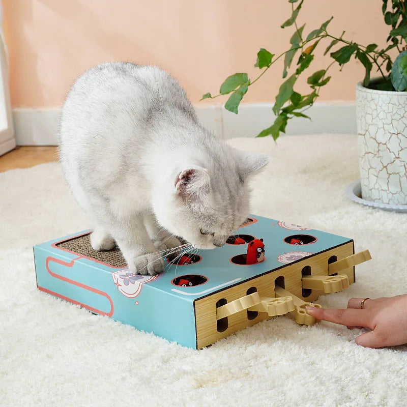 Cat pedal box