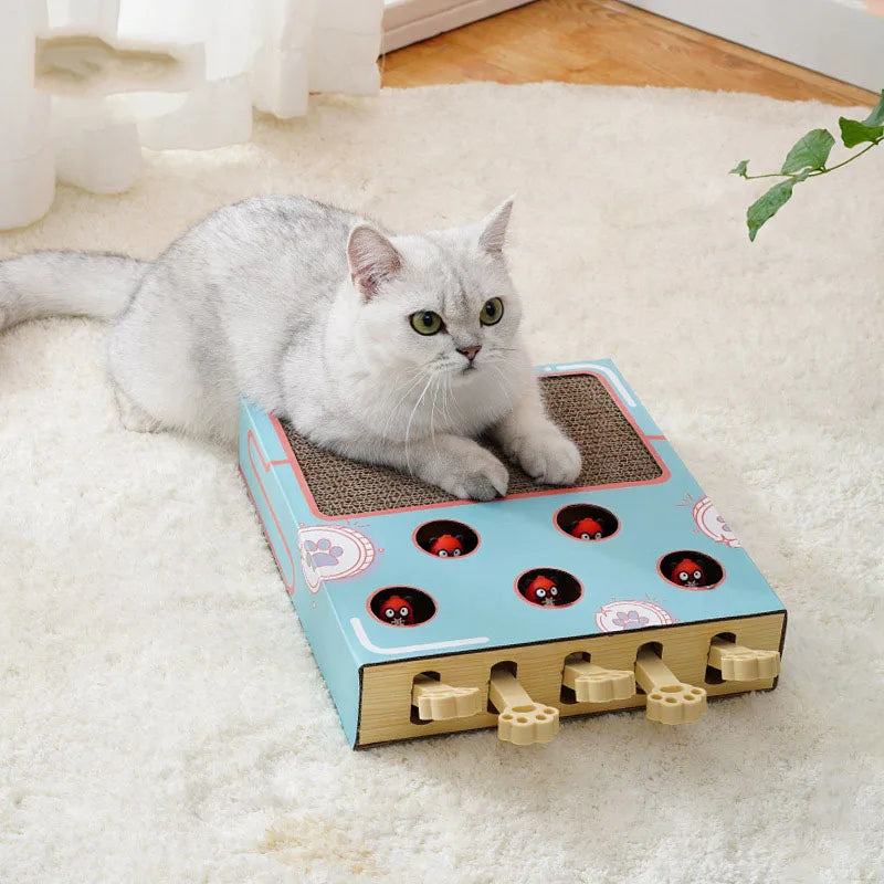 Cat pedal box