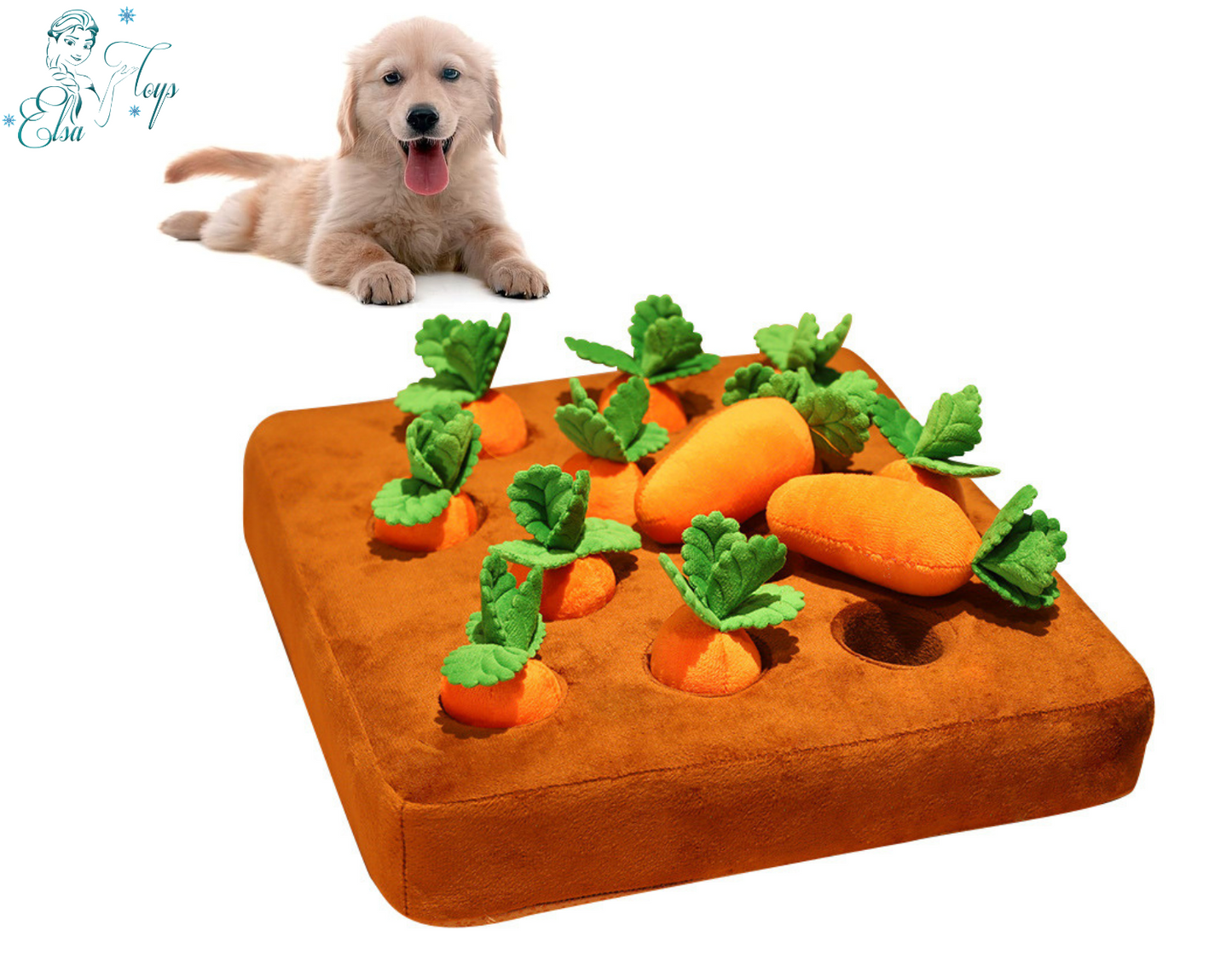 Dog carrot farm