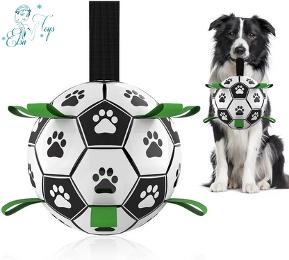 dog soccer ball