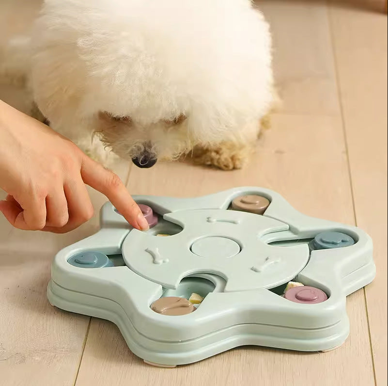 Puzzle dish